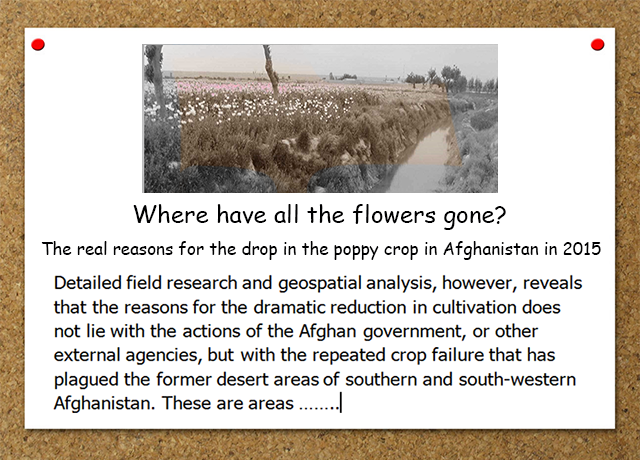 David Mansfield current publication